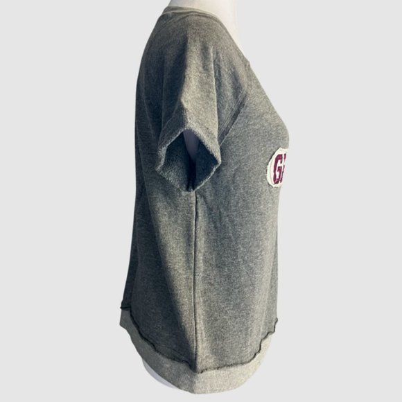 Harry Potter Gryffindor Short Sleeve Sweater Shirt Gray - Size Medium - Picture 5 of 7